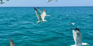 Guest photo from review